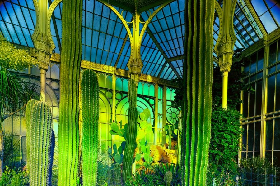 GARTENFOKUS – Grünes Fieber.900x600