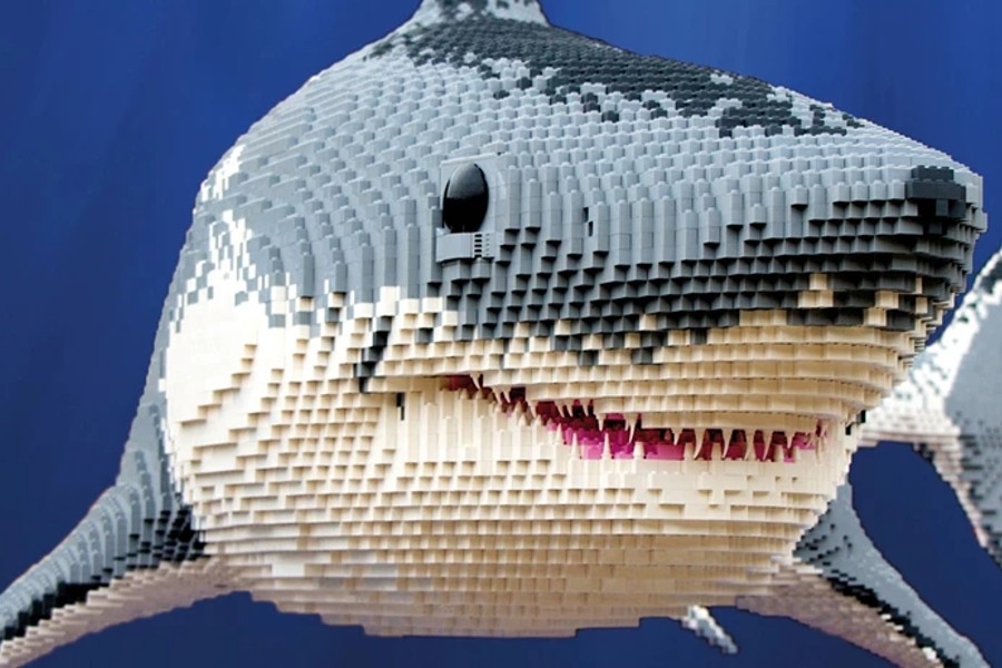 oceanbricks_shark-header.900x600