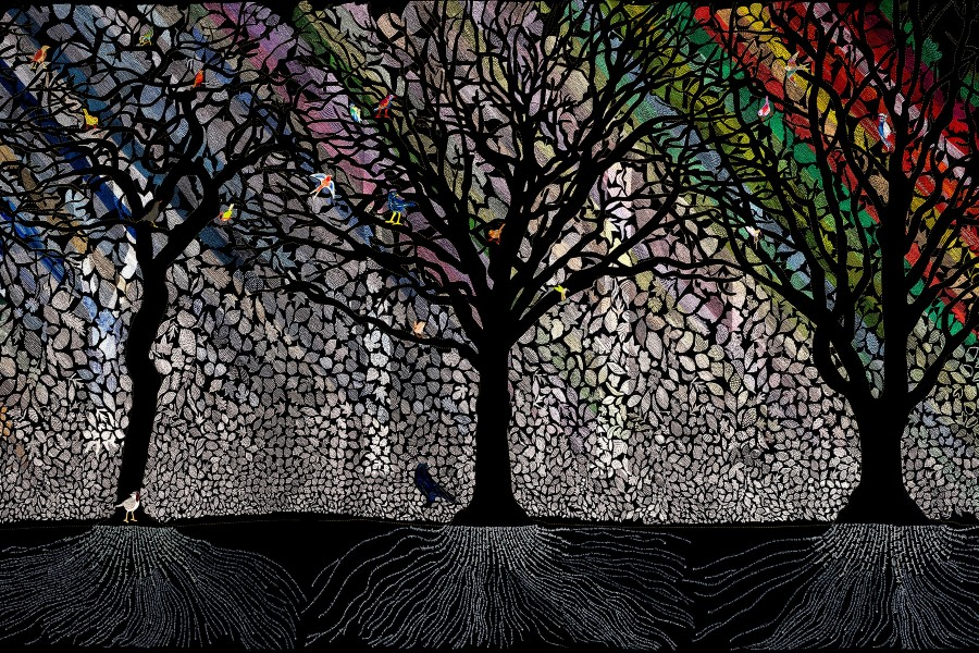 bOMEN.900X600